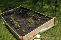 Herb Garden